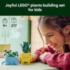 LEGO Botanicals Happy Plants Building Toy for Kids, Girls, and Boys 9+ - Playroom Decor for Desk or Shelf - Birthday Gift Idea for Young Gardeners...