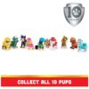 Paw Patrol, 10th Anniversary, All Paws On Deck Toy Figures Gift Pack with 10 Collectible Action Figures, Kids Toys for Ages 3 and up Paw Patrol, 10th Anniversary, All Paws On Deck Toy Figures Gift Pack with 10 Collectible Action Figures, Kids Toys for Ages 3 and up